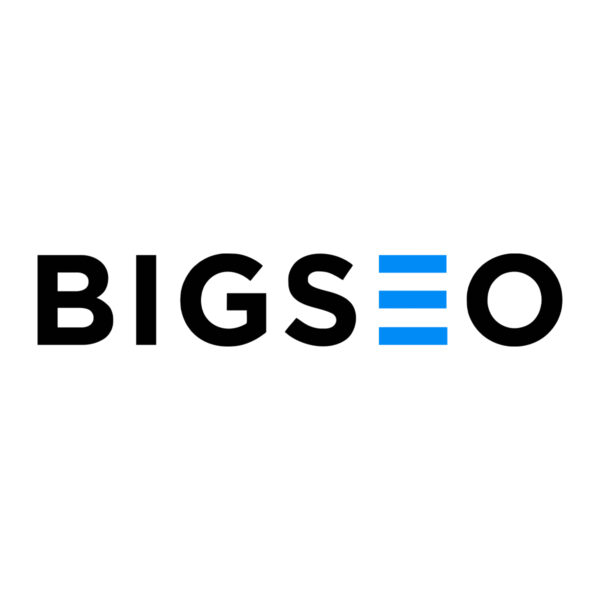 Logo de BIGSEO